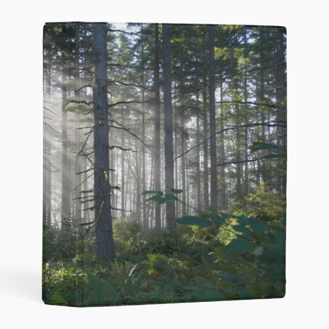 Sunlight Breaking Through a Misty Forest Mini Binder (Front/Spine)