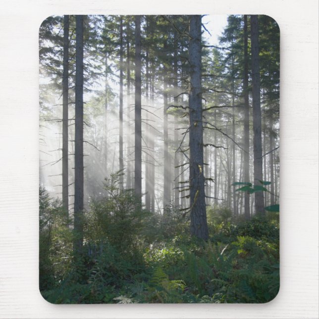 Sunlight Breaking Through a Misty Forest Mouse Pad (Front)