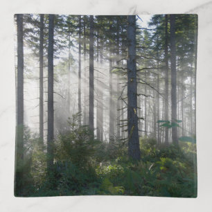 Sunlight Breaking Through a Misty Forest Trinket Tray