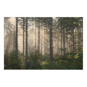 Sunlight Breaking Through a Misty Forest Wood Wall Art