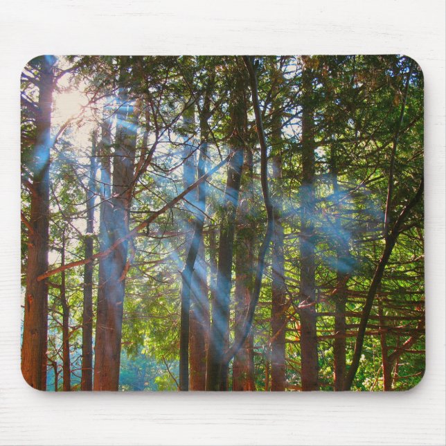 Sunlight Breaking Through the Pines Mouse Pad (Front)