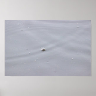 Sunlight Circles in Pond Poster
