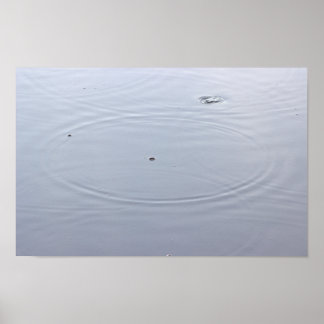 Sunlight Circles in Pond Poster