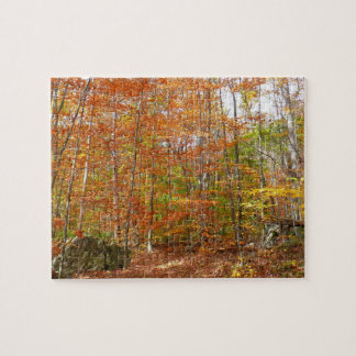 Sunlight Dappled Fall Trail at Laurel Hill Park Jigsaw Puzzle