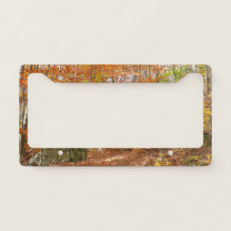 Sunlight Dappled Fall Trail at Laurel Hill Park License Plate Frame