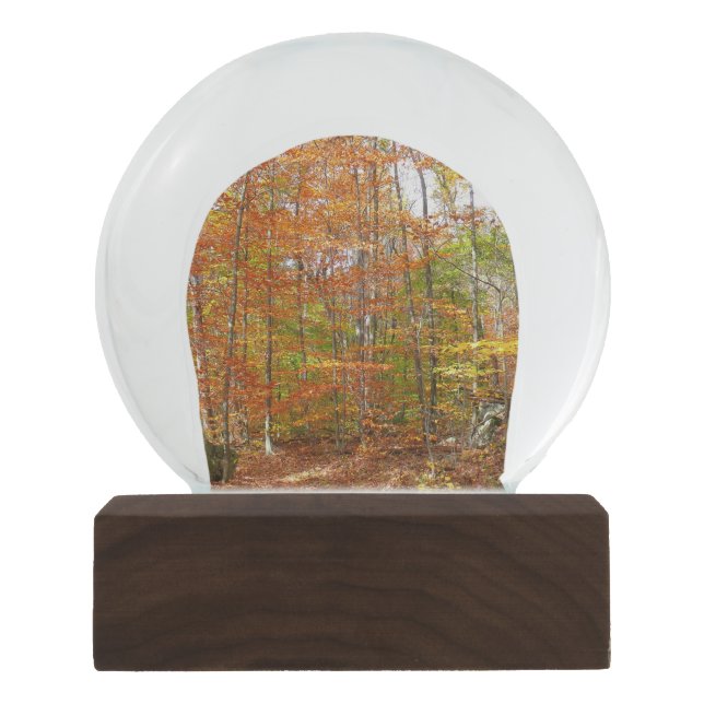 Sunlight Dappled Fall Trail at Laurel Hill Park Snow Globe (Front)