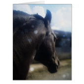 Sunlight - Greeting Card (Front)