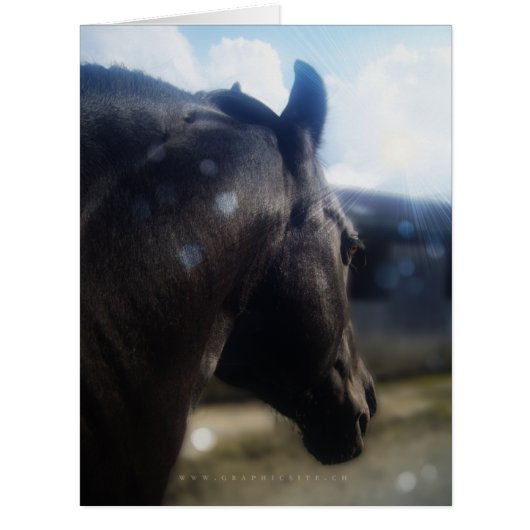 Sunlight - Greeting Card (Front)