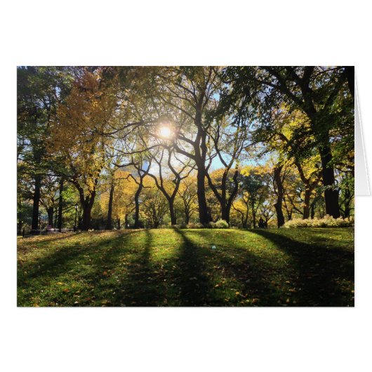 Sunlight in Central Park Cards (Front Horizontal)