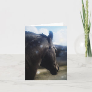 Sunlight - Notecard