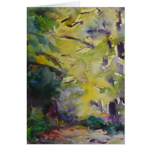 Sunlight on a forest path by Silver Lake Cards (Front)