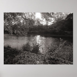 Sunlight on the Taff, Bute Park, Cardiff Poster