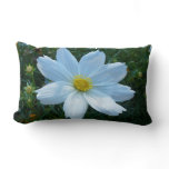 Sunlight on White Cosmos Floral Lumbar Pillow