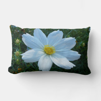 Sunlight on White Cosmos Floral Lumbar Pillow