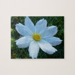 Sunlight on White Cosmos Flower Floral Jigsaw Puzzle
