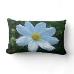 Sunlight on White Cosmos Flower Floral Lumbar Pillow