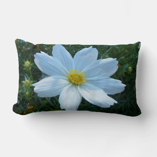 Sunlight on White Cosmos Flower Floral Lumbar Pillow (Front)