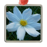 Sunlight on White Cosmos Flower Floral Metal Ornament