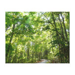 Sunlight on Wooded Path at Centennial Park Canvas Print