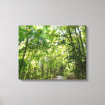 Sunlight on Wooded Path at Centennial Park Canvas Print