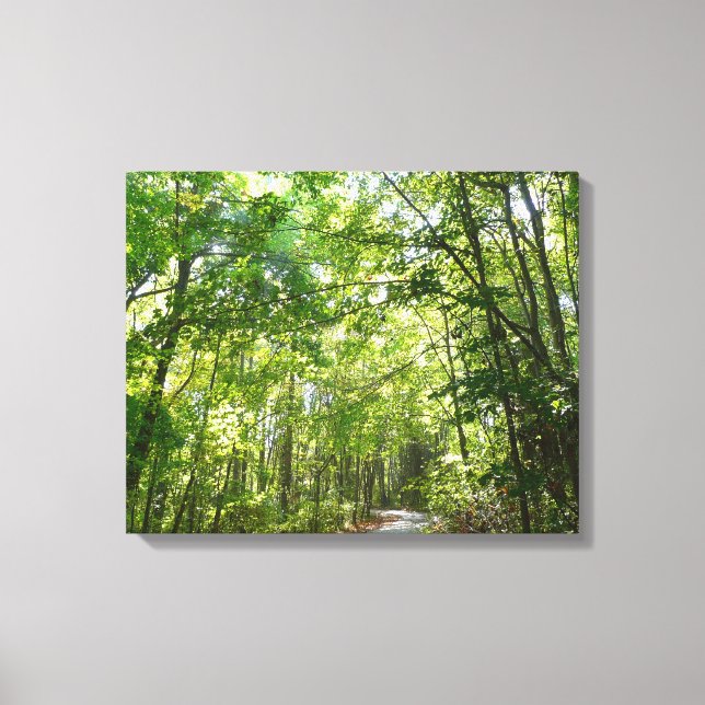 Sunlight on Wooded Path at Centennial Park Canvas Print (Front)