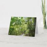 Sunlight on Wooded Path at Centennial Park Card