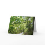 Sunlight on Wooded Path at Centennial Park Card