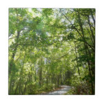 Sunlight on Wooded Path at Centennial Park Ceramic Tile