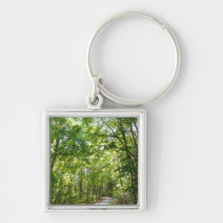 Sunlight on Wooded Path at Centennial Park Keychain