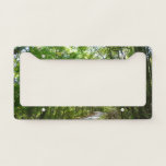Sunlight on Wooded Path at Centennial Park License Plate Frame
