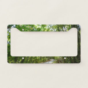 Sunlight on Wooded Path at Centennial Park License Plate Frame