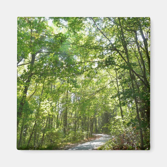 Sunlight on Wooded Path at Centennial Park Magnet (Front)