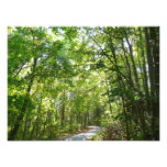 Sunlight on Wooded Path at Centennial Park Photo Print