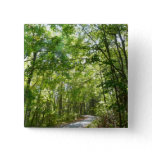 Sunlight on Wooded Path at Centennial Park Pinback Button