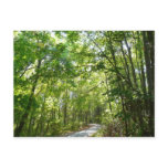 Sunlight on Wooded Path at Centennial Park Postcard