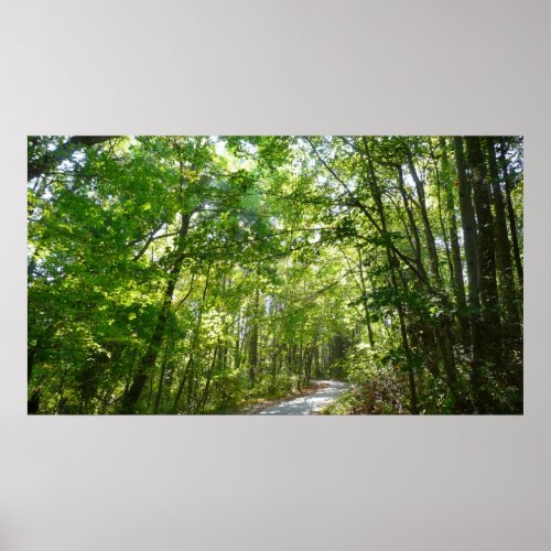 Sunlight on Wooded Path at Centennial Park Poster