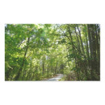 Sunlight on Wooded Path at Centennial Park Rectangular Sticker