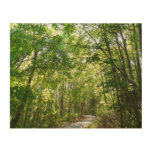 Sunlight on Wooded Path at Centennial Park Wood Wall Decor
