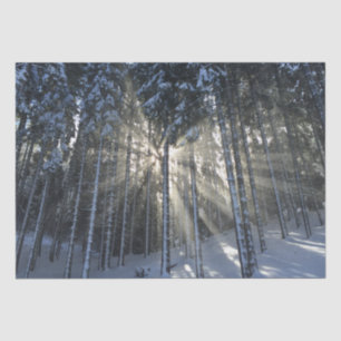 Sunlight Rays through Winter Snow Forest Tissue Paper