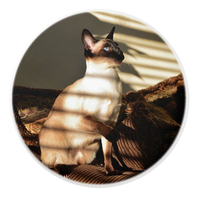 Sunlight Shadows Siamese Cat Ceramic Knob (Front)