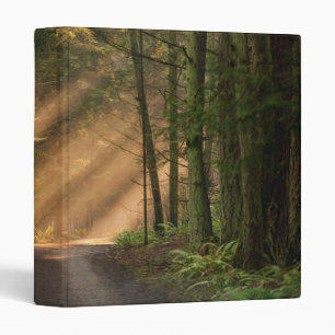 Sunlight Shining Through a Forest 3 Ring Binder