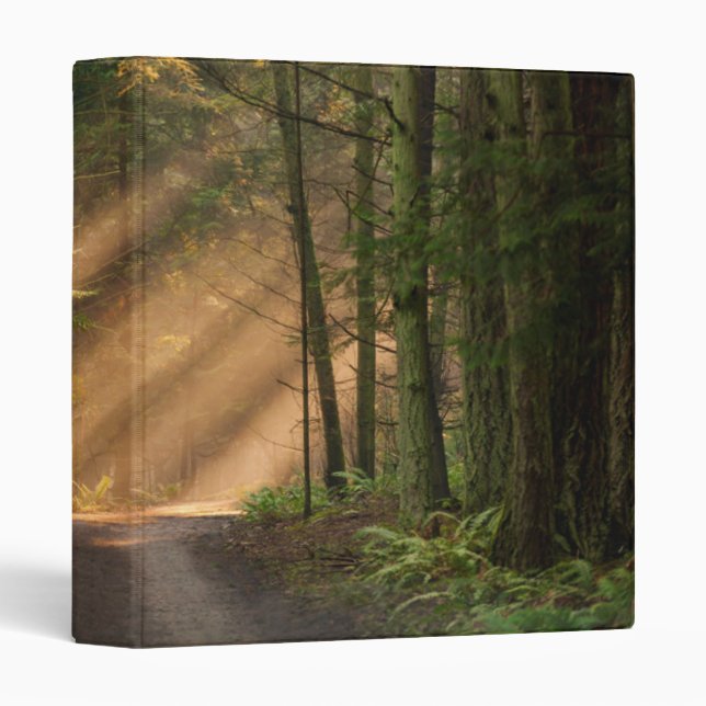 Sunlight Shining Through a Forest 3 Ring Binder (Front/Spine)