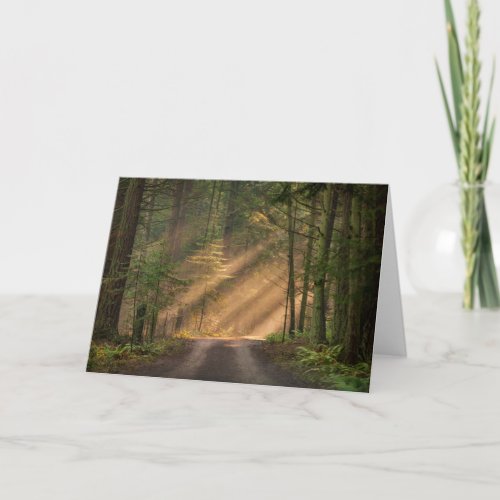 Sunlight Shining Through a Forest Card