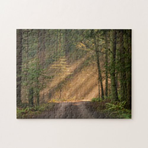 Sunlight Shining Through a Forest Jigsaw Puzzle