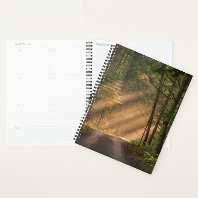 Sunlight Shining Through a Forest Planner (Display)