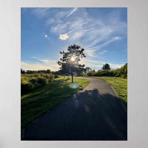 Sunlight Shining through Tree Poster