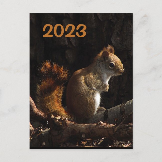 Sunlight Squirrel 2023 Calendar on Back Postcard