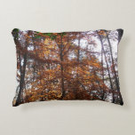 Sunlight Through Fall Tree at Greenbelt Accent Pillow