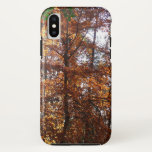 Sunlight Through Fall Tree at Greenbelt iPhone XS Case