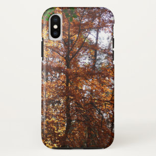 Sunlight Through Fall Tree at Greenbelt iPhone XS Case